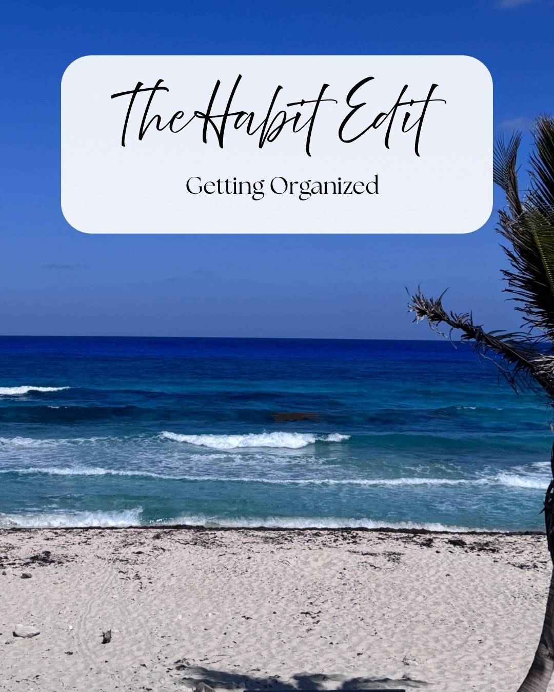 Anyone else still trying to get organized in the new year? Im hoping to work on it tomorrow on our snow day. I’m linking some of my favorite organizers from Amazon and The Container Store. Let me know if you’ve tried any of these!

#amazon #containerstore #organization 

#LTKSaleAlert #LTKHome #LTKmomlife