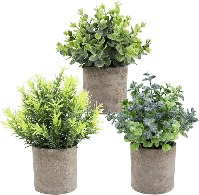 THE BLOOM TIMES Set of 3 Small Potted Artificial Plants Plastic Fake Greenery Faux Plants in Pots... | Amazon (US)