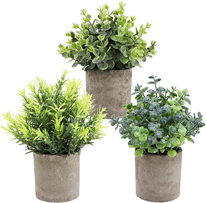 THE BLOOM TIMES Set of 3 Small Potted Artificial Plants Plastic Fake Greenery Faux Plants in Pots... | Amazon (US)