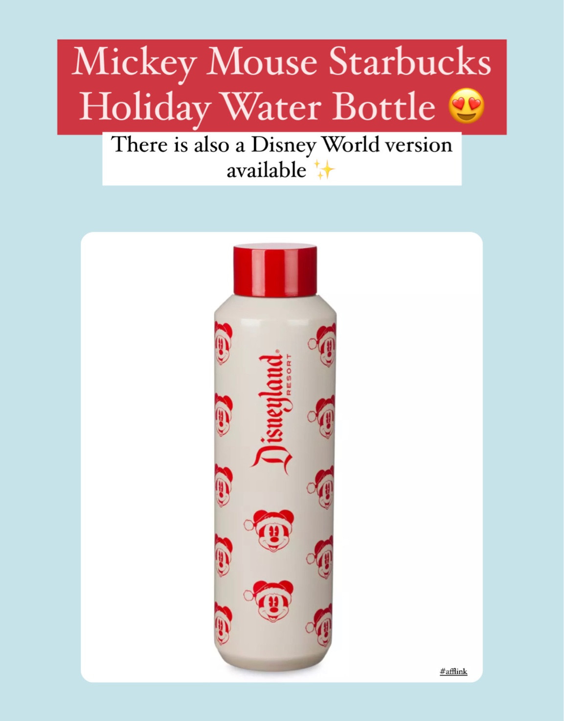 Disney Starbucks Water Bottle - Walt Disney World Holiday