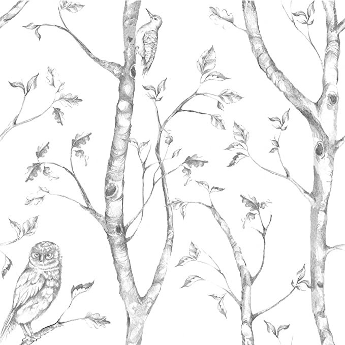 NuWallpaper NU1412 Woods Peel & Stick Wallpaper, Grey | Amazon (US)