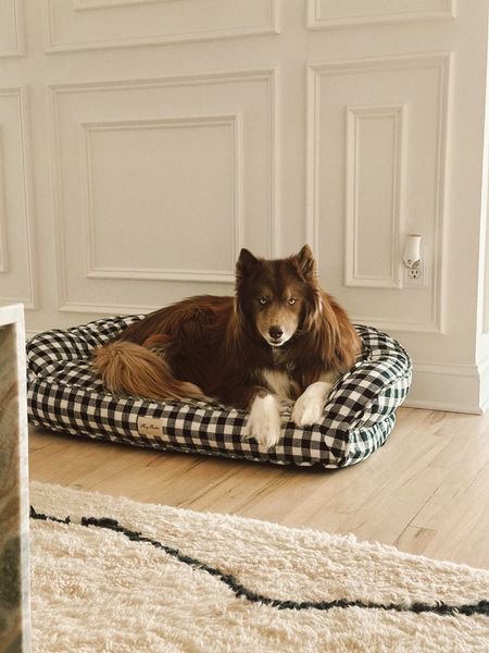 The best dog bed for medium/large dogs 🐶 

#LTKGiftGuide #LTKhome #LTKfindsunder100