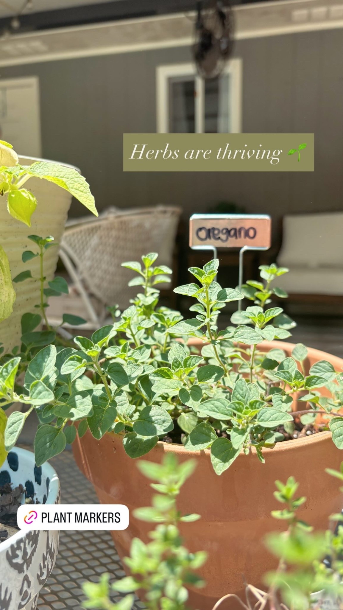 My copper planter markers are under $20 and perfect for your herb garden. 🌱

#LTKHome #LTKSeasonal #LTKFindsUnder50