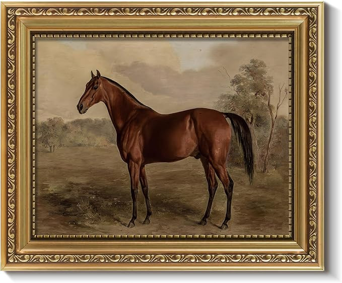 ARPEOTCY Vintage Gold Framed Horse Wall Art, Bedroom Bathroom Living Room Classic Horse Picture W... | Amazon (US)