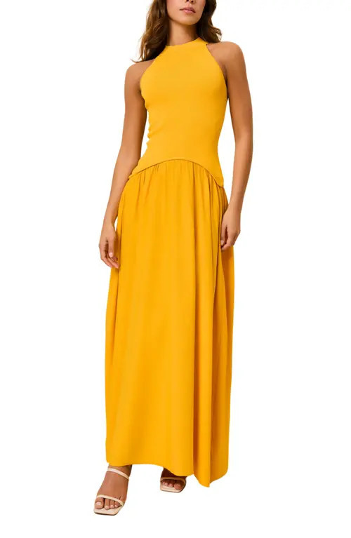 Solid & Striped The Isola Sleeveless Maxi Dress in Pineapple at Nordstrom, Size Large | Nordstrom