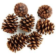 Cinnamon Scented Pinecone Bag by Ashland® | Michaels Stores