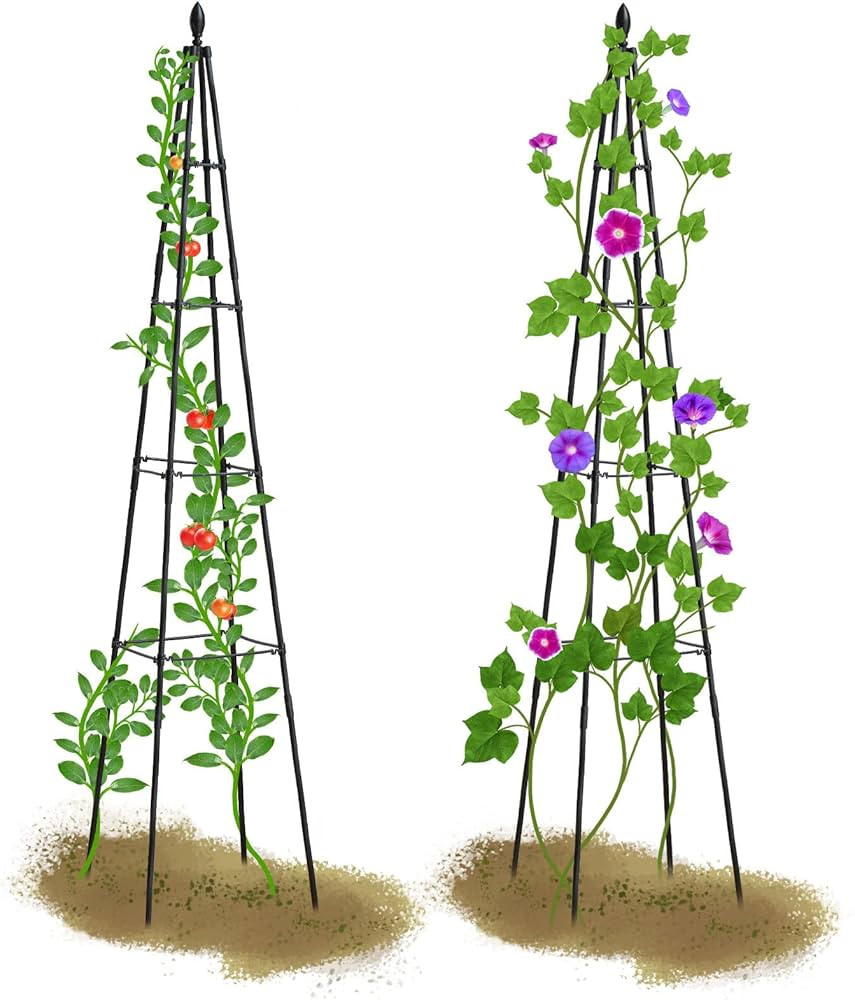 Visit the lalahoni Store | Amazon (US)