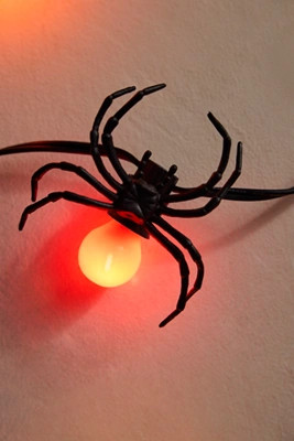 Stargazer Creepy Crawly Light Clips, Set of 10 | Anthropologie (US)