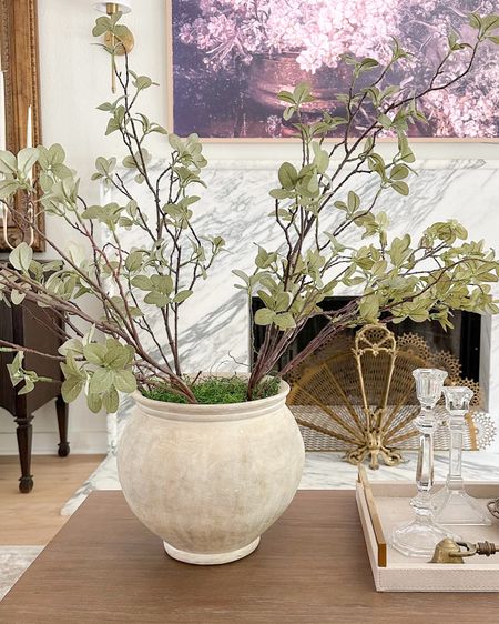 Amazon greenery branches styled in this Pottery Barn planter vase with Spanish moss on my coffee table!

#LTKstyletip #LTKhome #LTKfindsunder50