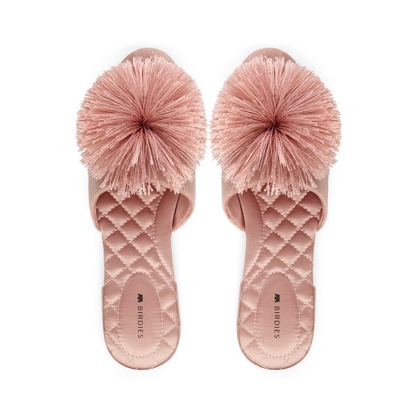 the songbird | BIRDIES