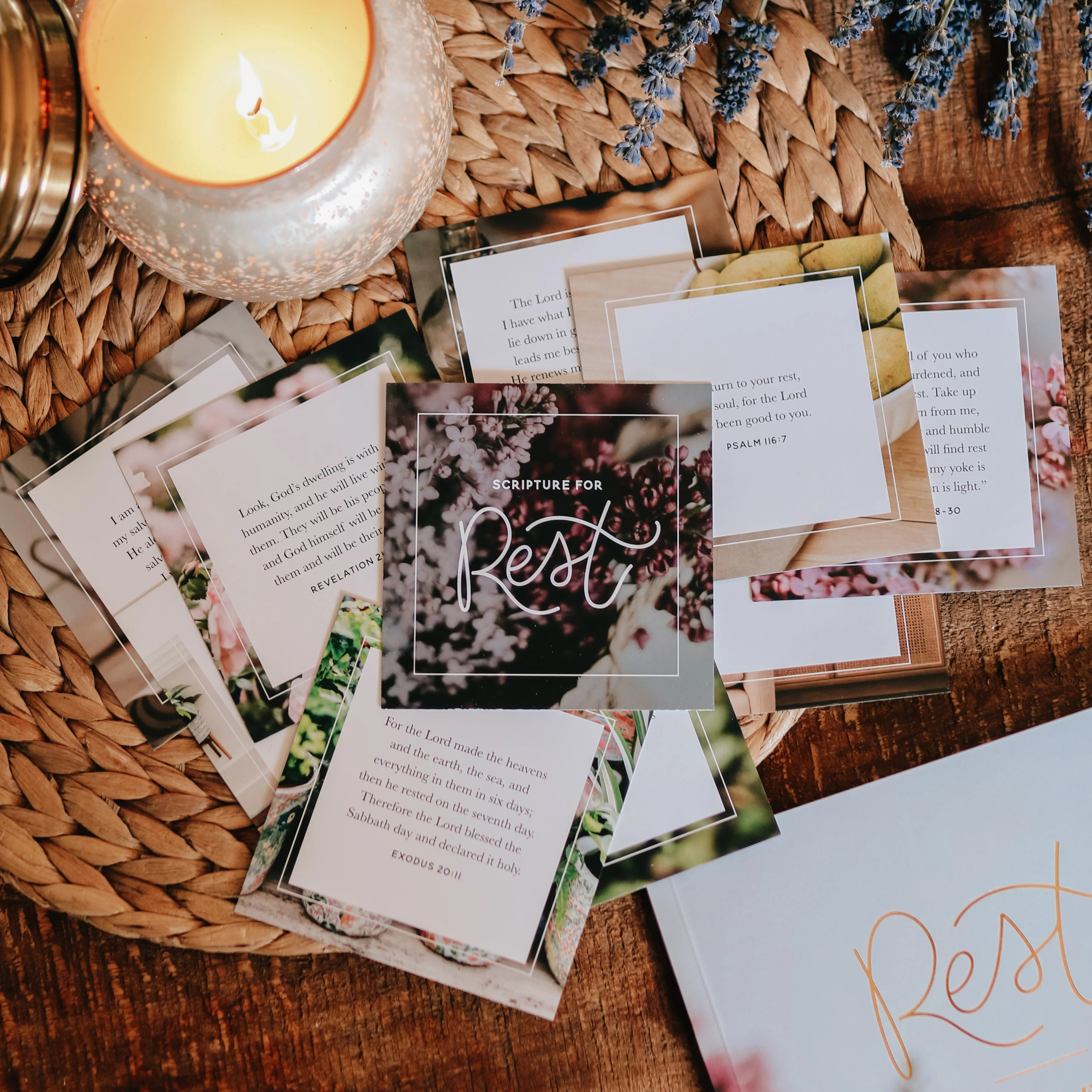 Scripture for Rest Verse Card Set | The Daily Grace Co.