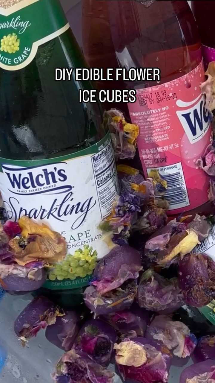 DIY Edible Flower Ice Cubes! Perfect for baby shower, bridal shower, or anytime you want to feel a little fancy! 

#LTKHome #LTKParties #LTKBaby