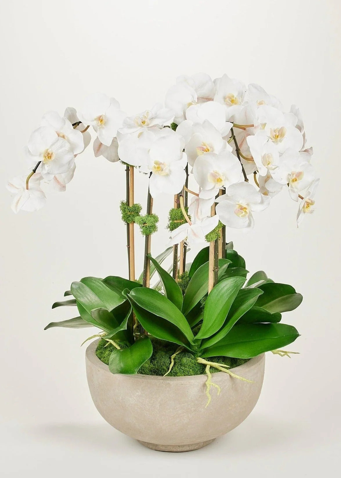 Orchids in Bowl | Faux Arrangements at Afloral.com | Afloral