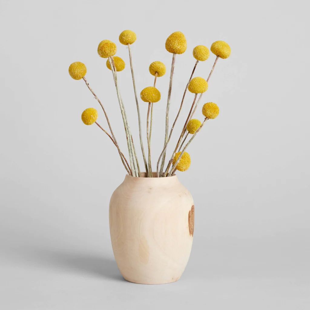 White Walnut Plum Vase, Medium | Bloomist