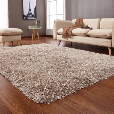 Coral " Hand Tufted Shag Area Rug | Wayfair North America