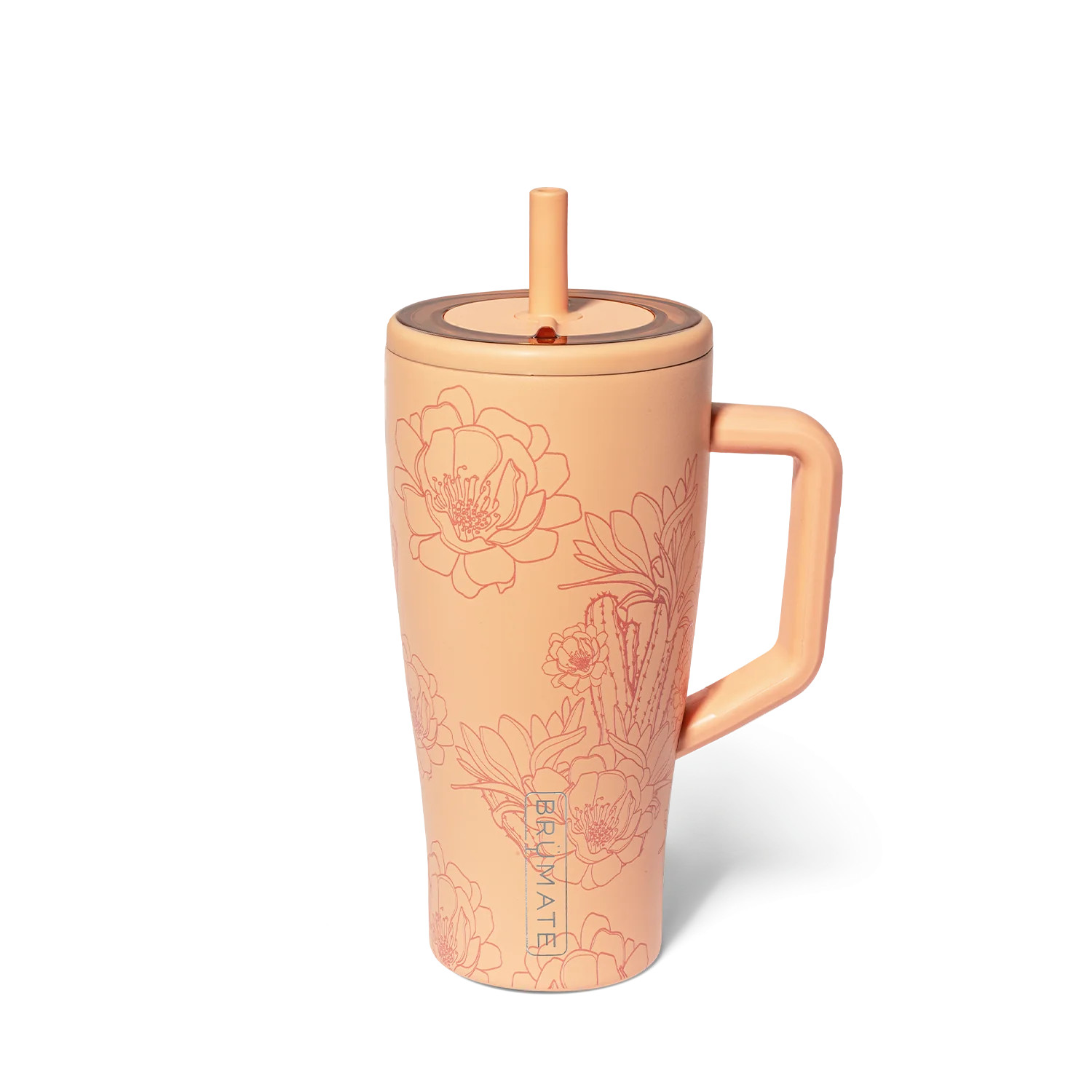 Cactus Flower | Brumate