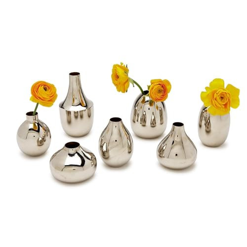 Two's Company Silver Array Silver-Plated Nickel Vases, Set of 7, Home Decor and Accessories, AAI002-SIS7 | Amazon (US)