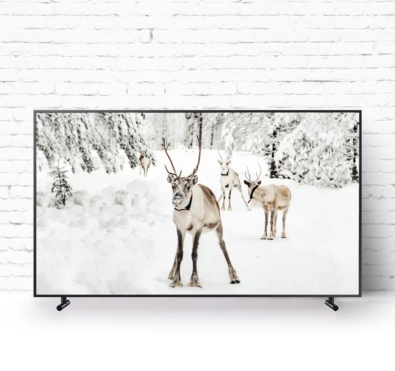 Samsung Frame TV Art. Instant Download. Surprised Reindeer. | Etsy | Etsy (US)