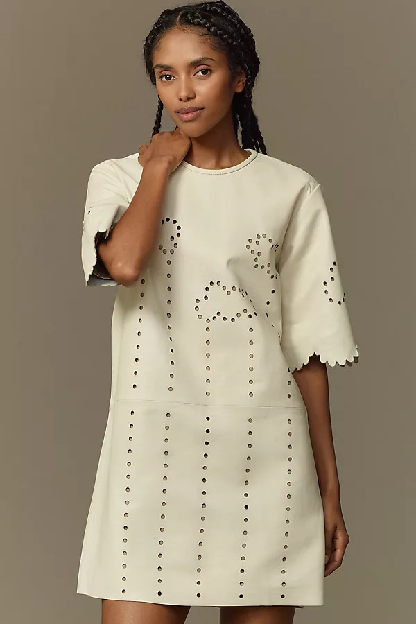 Pointelle Leather Mini Dress | Anthropologie (US)