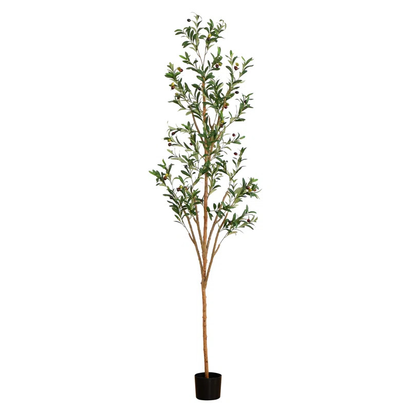 7ft. Artificial Olive Tree with Natural Trunk | Wayfair North America