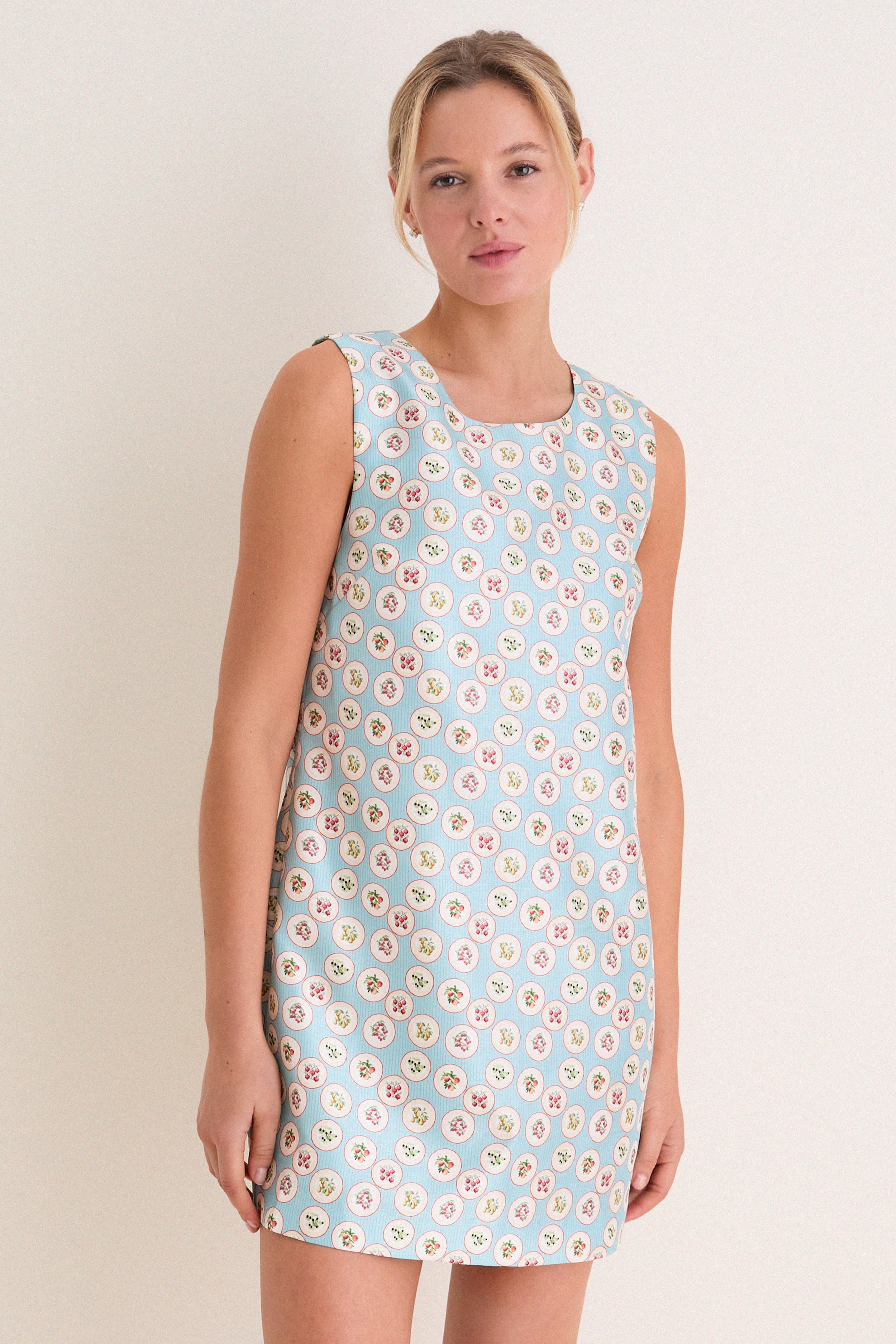 Tarda Ella Mini Dress | Tuckernuck (US)