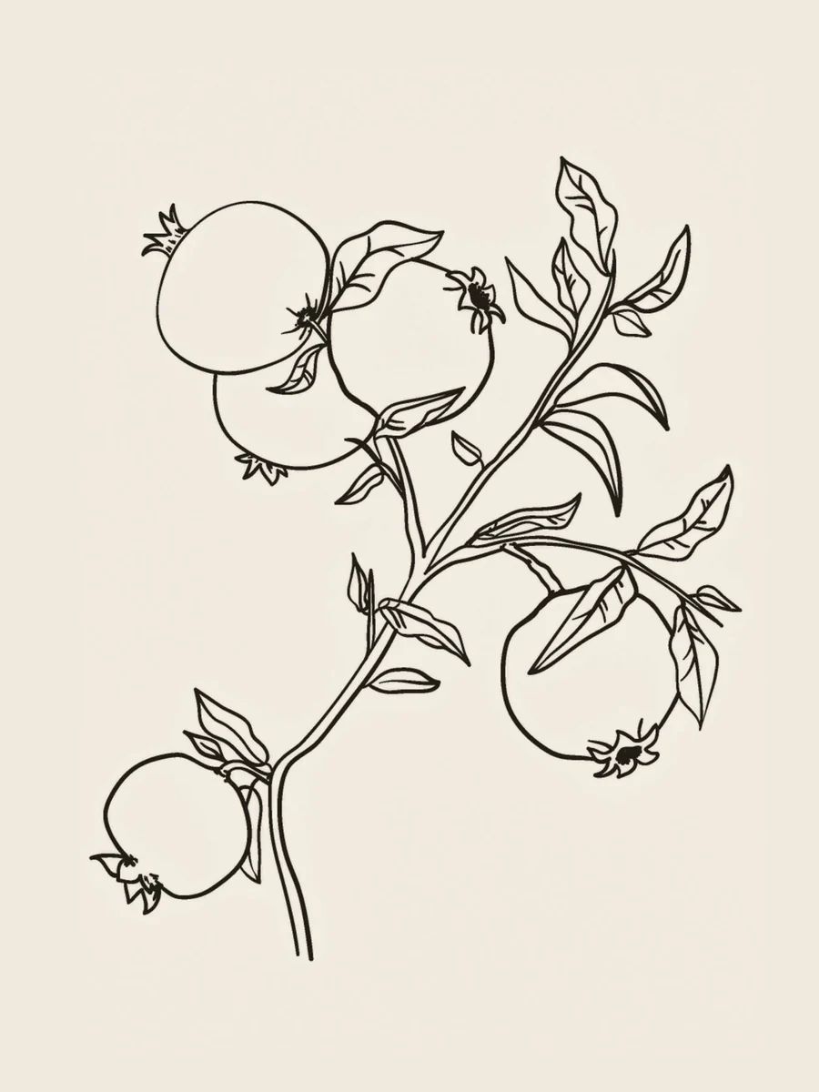 Botanical Sketch III | Collection Prints