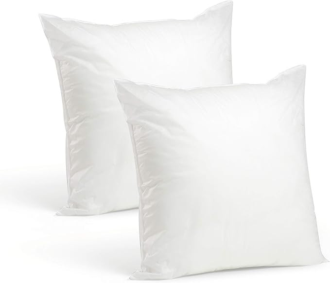 Foamily Throw Pillows Set of 2-20 x 20 Premium Hypoallergenic Pillow Inserts for Couch or Bed Dec... | Amazon (US)