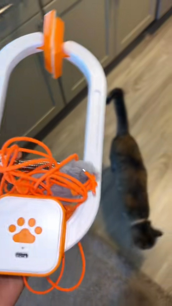 This is the perfect toy to keep your cat entertained all day long 🐾#catmom #catteaser #cattoys #catlover #cattoy #toysforcats #interactivecattoy 


#LTKSaleAlert #LTKFindsUnder50 #LTKGiftGuide
