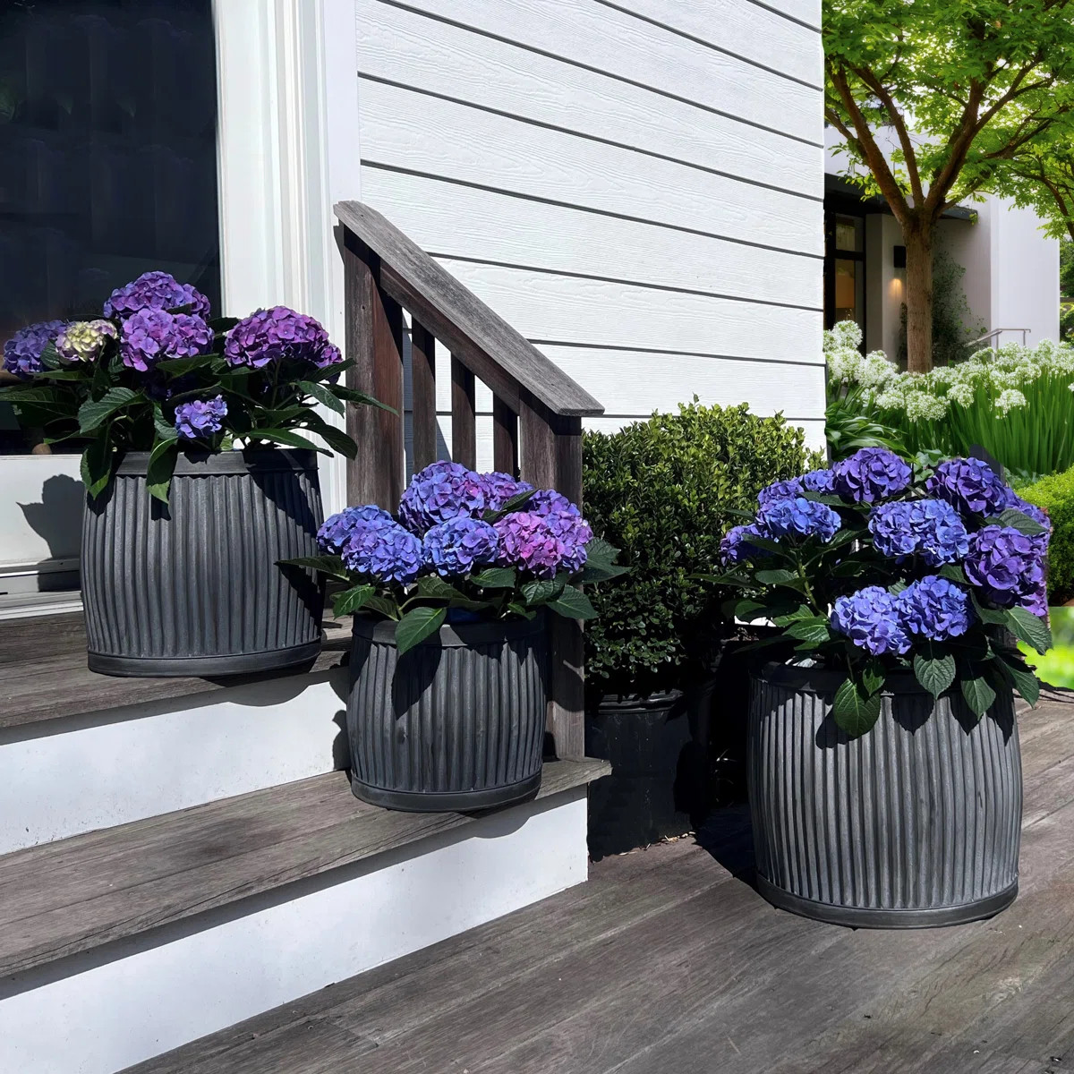 Armanno Metal Pot Planter | Wayfair North America