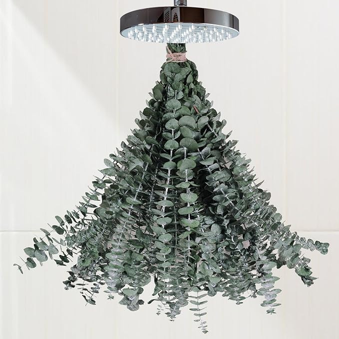 16Pcs-Preserved-Dried-Eucalyptus-Branches,17" 100% Natural Fresh Eucalyptus Plant for Shower, Rea... | Amazon (CA)