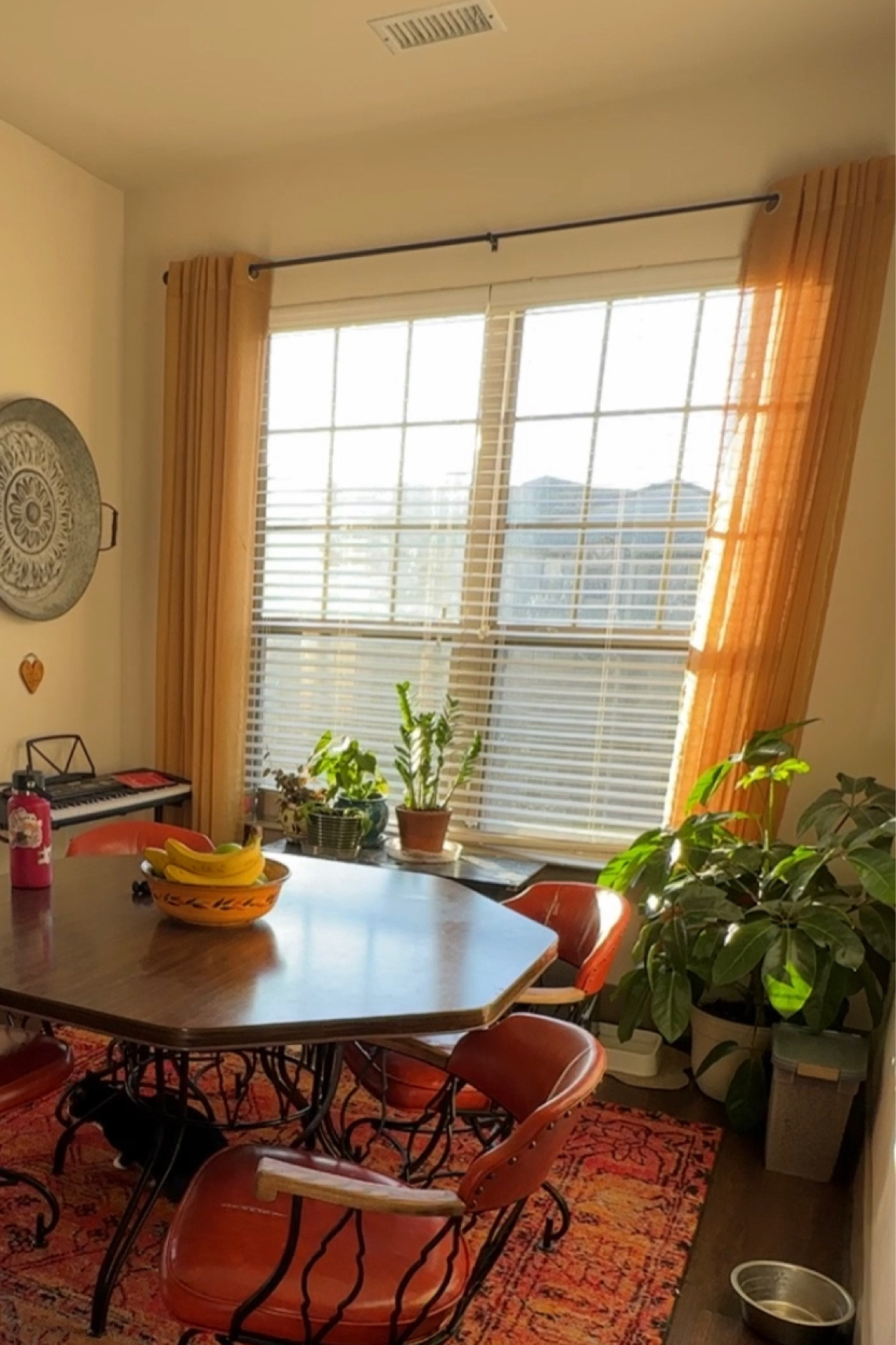 Best shades ever #yellow #sheershades #curtains #sheer #colorfulhome 

#LTKFind #LTKunder50 #LTKhome