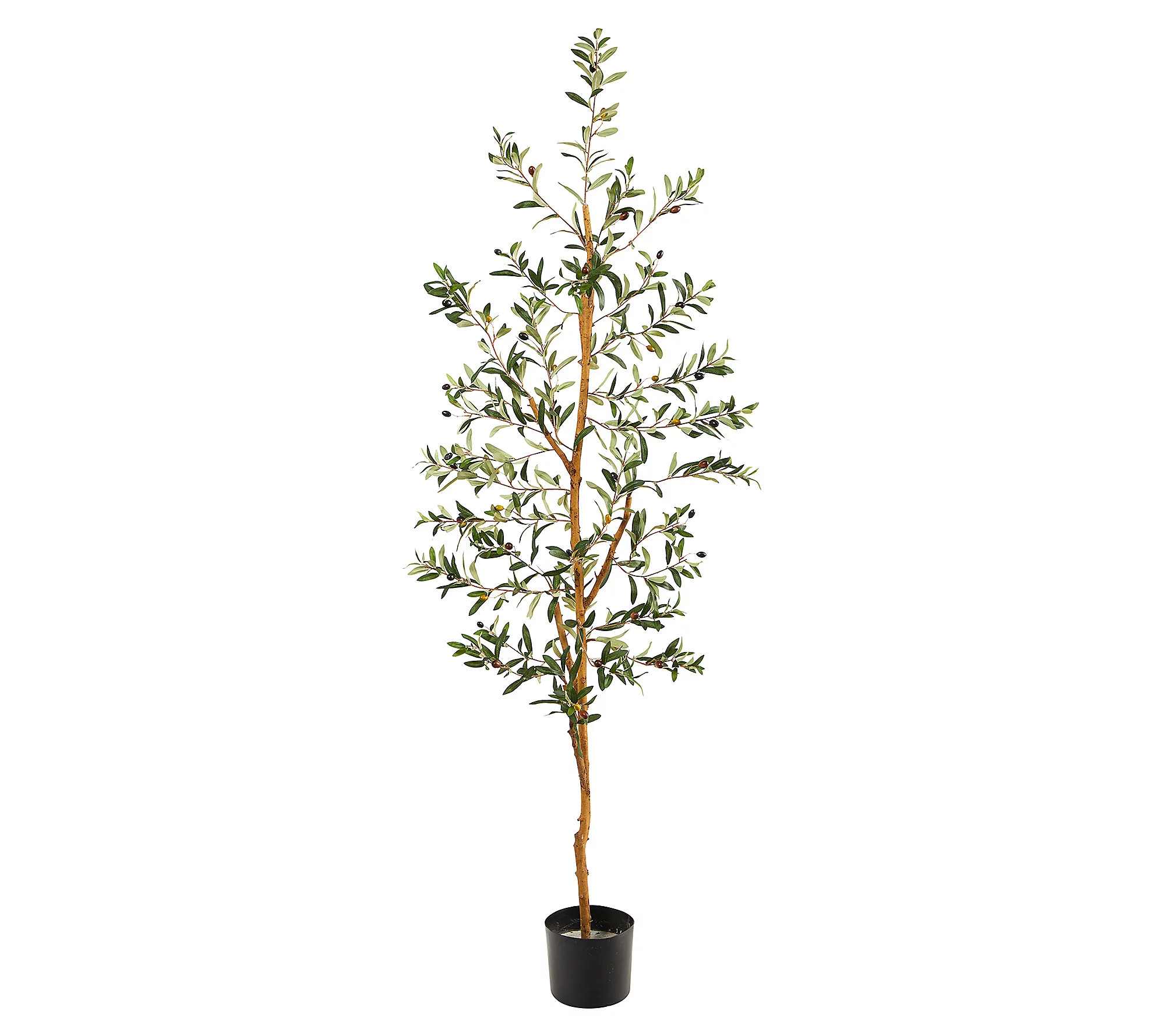 Olive Artificial Tree 4.5' by Nearly Natural | QVC