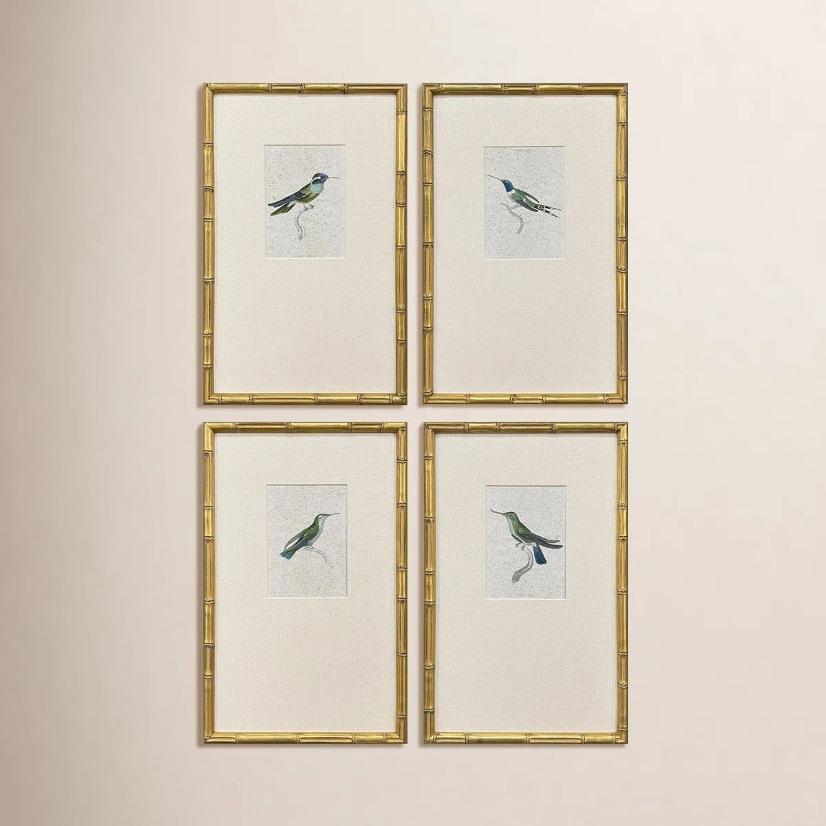 Antique Hummingbirds Framed Art (Set of 4) | Wayfair North America