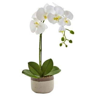 Phalaenopsis Orchid in Ceramic Pot - Nearly Natural | Target