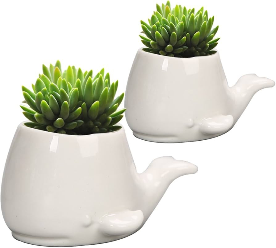 GeLive Set of 2 Whale White Ceramic Succulent Planter Air Plant Pot Window Box Decorative Contain... | Amazon (US)