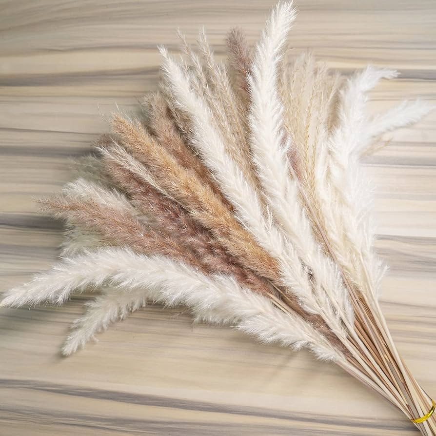 euokrpf 60pcs Natural Dried Pampas Grass,20 Pcs White Pampas & 20 Pcs Brown Pampas & 20 Pcs Reed ... | Amazon (US)