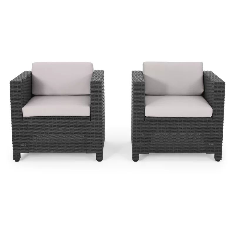 Patio Chair with Cushions (Set of 2) | Wayfair North America
