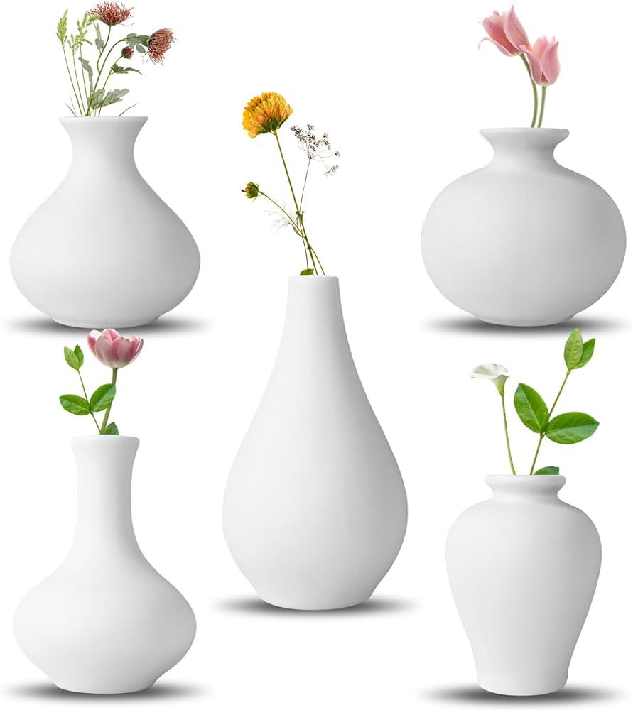 Ceramic Vase Set, 5 White Mini Flower Bud Vase, Flower Vases for Modern Home Decor, Decorative Va... | Amazon (US)