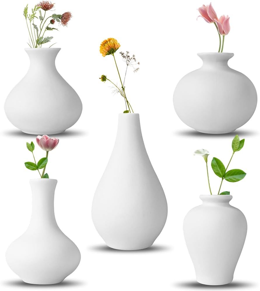 Ceramic Vase Set, 5 White Mini Flower Bud Vase, Flower Vases for Modern Home Decor, Decorative Va... | Amazon (US)