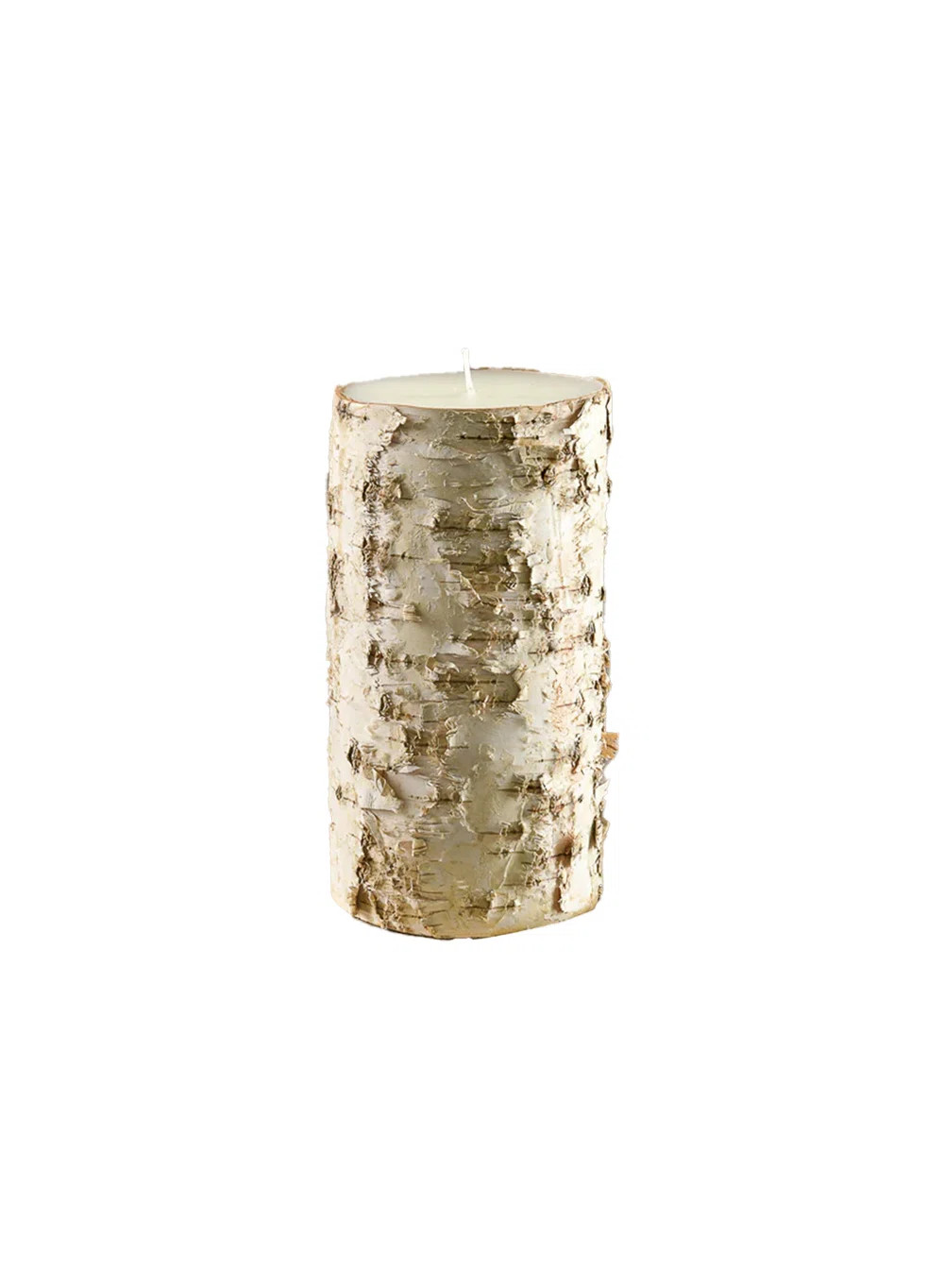 Birch Bark Unscented Pillar Candle | Wayfair North America