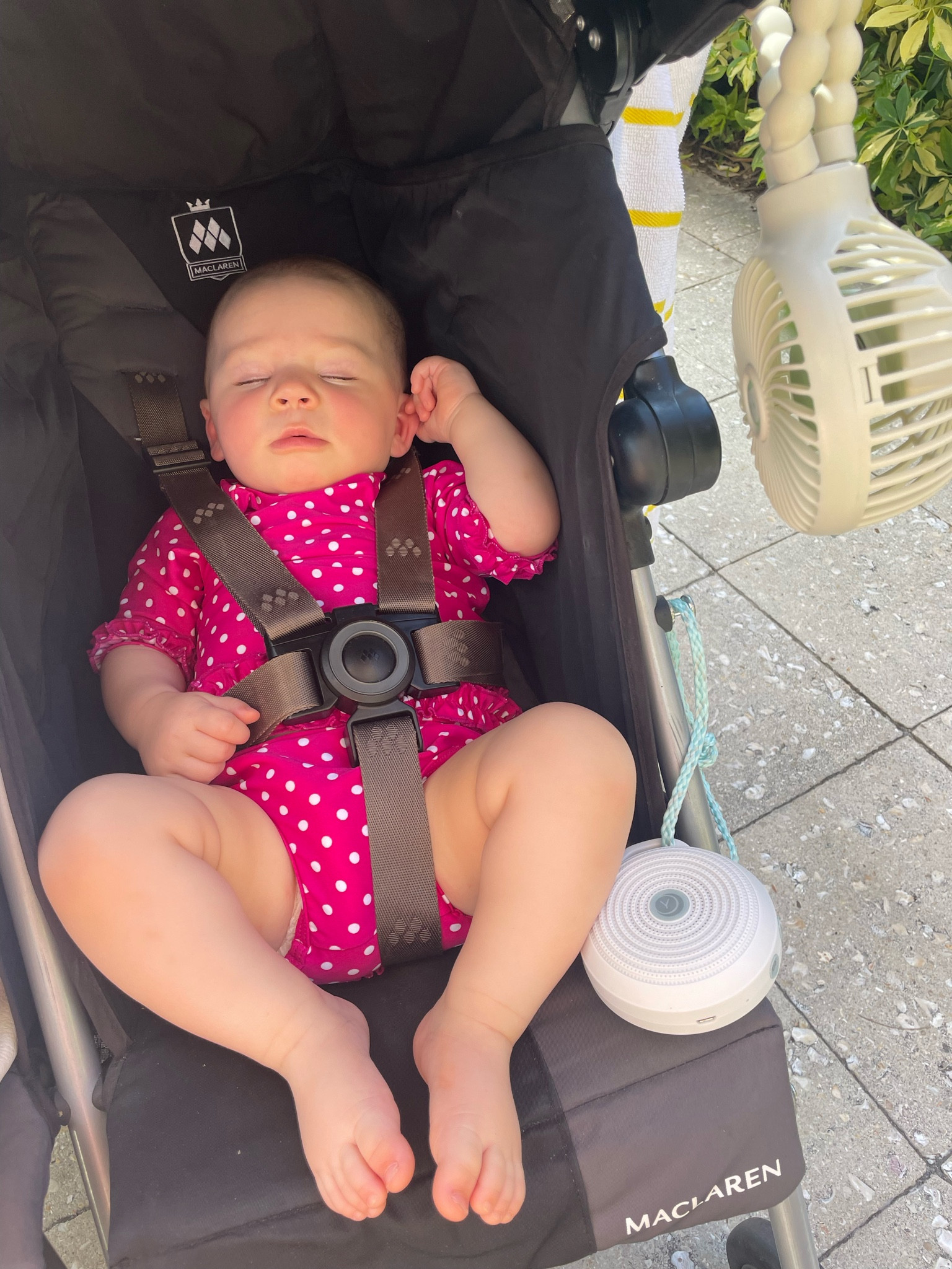 Amazon prime deals, Amazon prime deal baby, baby registry, Amazon prime baby finds, baby travel, traveling with baby, baby fan, baby sound machine, travel baby fan, travel baby sound machine 

This travel sound machine & fan were amazing while traveling! They made napping on the go easy & comfortable for baby girl. 

#amazonprimedeals #amazonprimedealsbaby #babyregistry #babytravel #travelsoundmachine #travelbabyfan  

#LTKbaby #LTKsalealert #LTKfamily