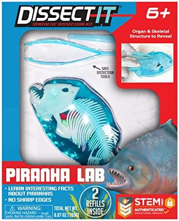 Dissect-It Simulated Synthetic Lab Dissection STEM Toy, Kids' Home Learning Science Project, Grea... | Amazon (US)