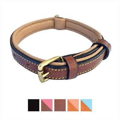 Soft Touch Collars Leather Two-Tone Padded Dog Collar | Chewy.com