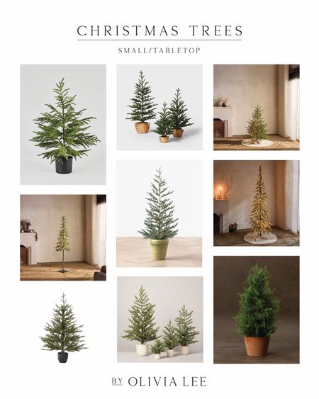 Mini Christmas Trees | Small Christmas Trees | Tabletop Christmas Trees #minichristmasstree #smallchristmastree #tabletopchristmastree 

#LTKHolidaySale #LTKHoliday #LTKSeasonal