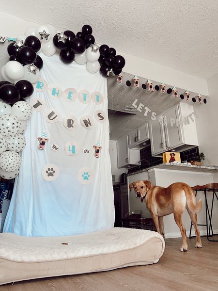 🐾Puppy Party🐾
Celebrates your fur baby with the cutest decorations 🤍

#LTKstyletip #LTKGiftGuide #LTKhome
