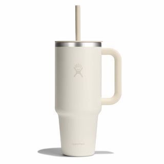 Insulated tumbler with handle and straw. | Hydro Flask