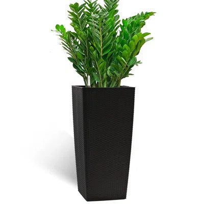 30 In Tall Flower Pots With Self - Watering, Drain Holes, Inner Trays For Indoor Outdoor Planting, Promoting Vibrant Growth Of Various Species, Brown | Wayfair North America