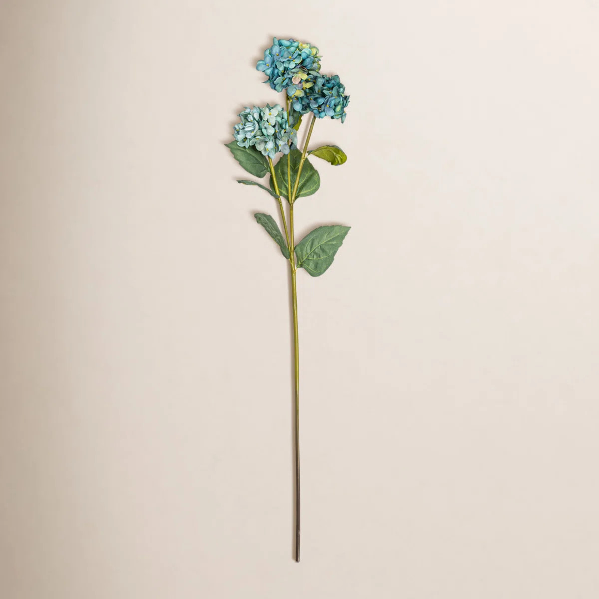 Ranbir Hydrangea Stem | Wayfair North America