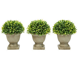 Nature Spring Set of 3 Potted Faux Grass Plants | QVC