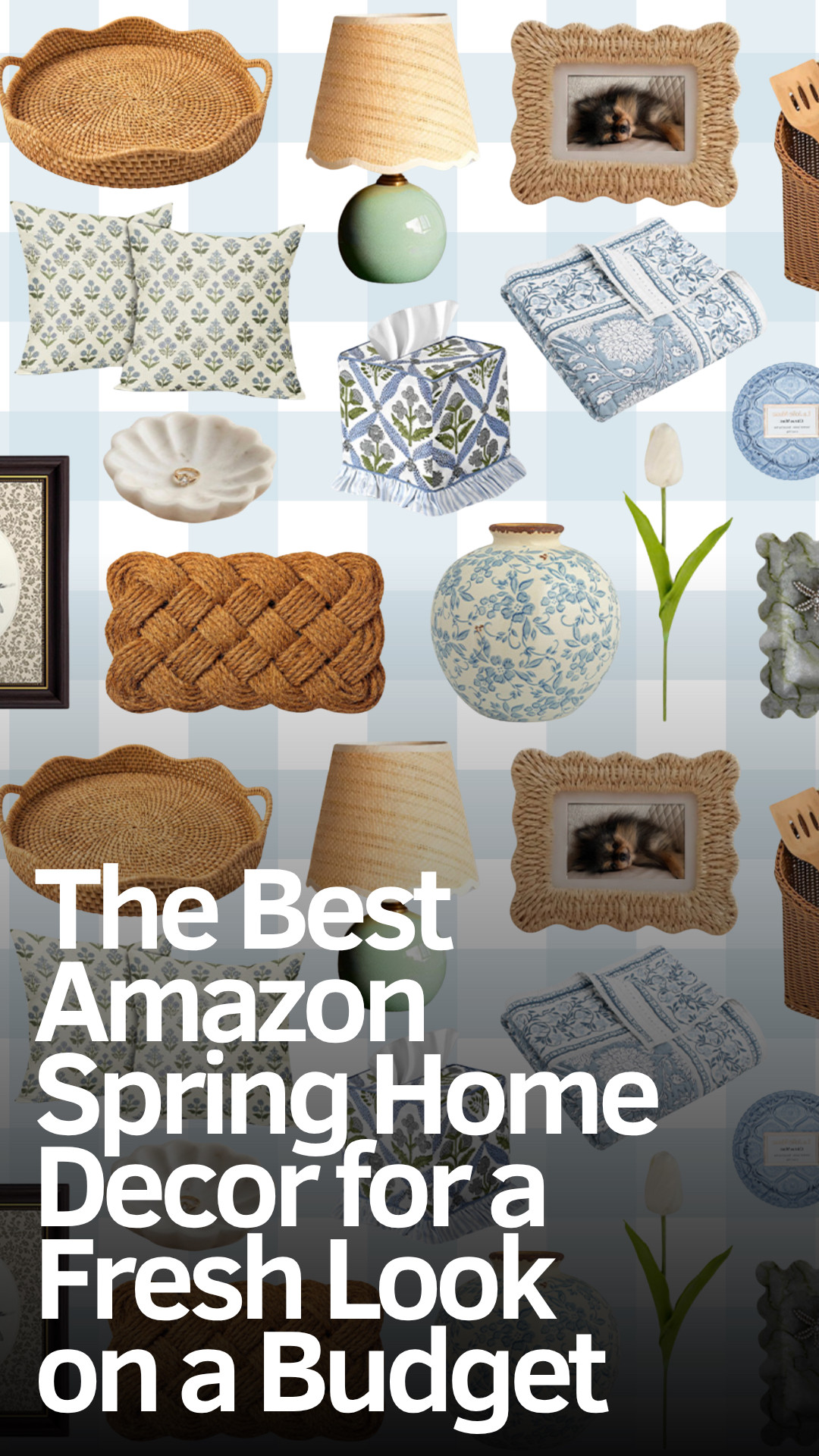 The Best Amazon Spring Home Decor for a Fresh Look on a Budget 

 #LTKSeasonal #LTKHome